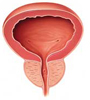 Prostate & Bladder Surgery