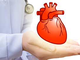 Physician & Cardiologist
