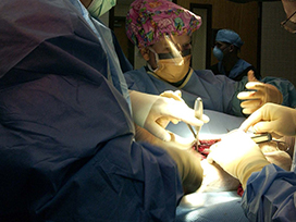 Surgeon