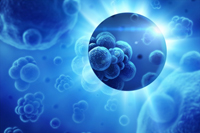 Urologic Oncology